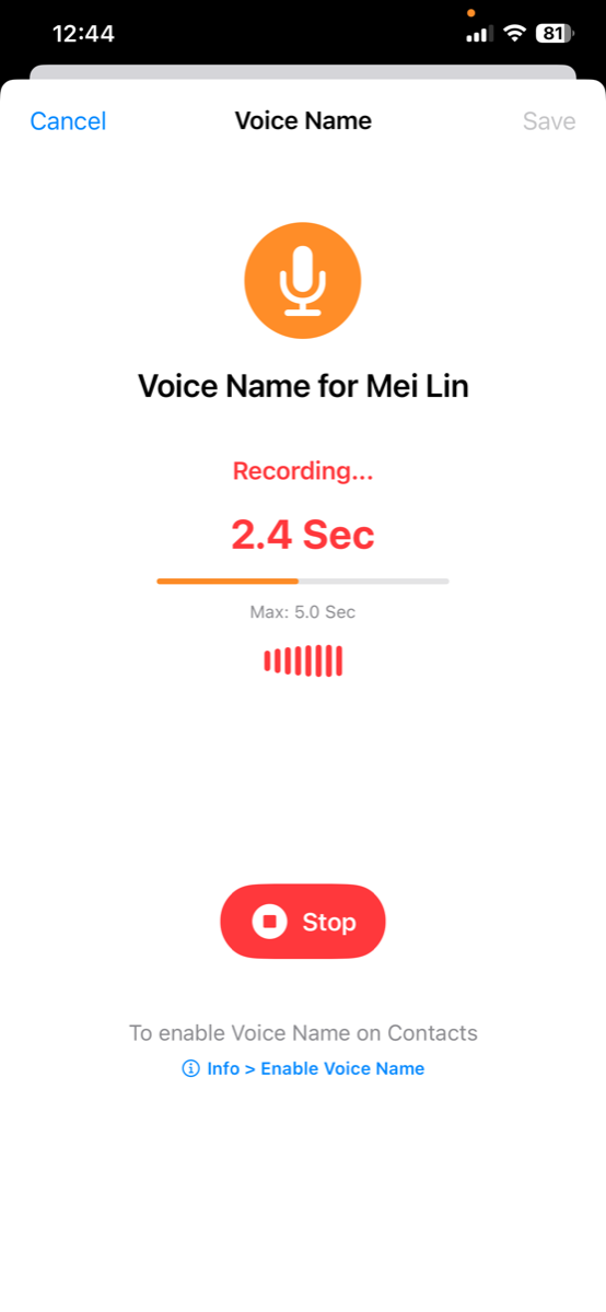 Voice name recording interface